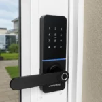 Lionhead Regent Digital Door Lock