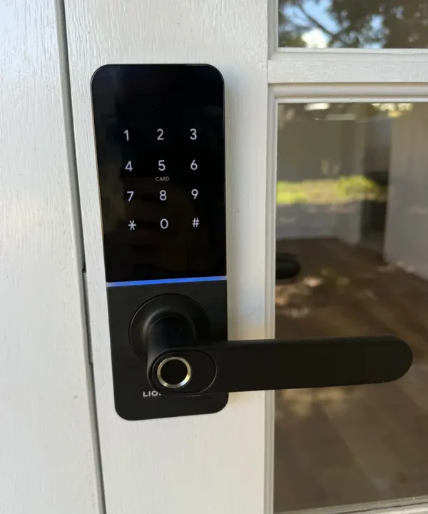 Lionhead Regent Digital Door Lock