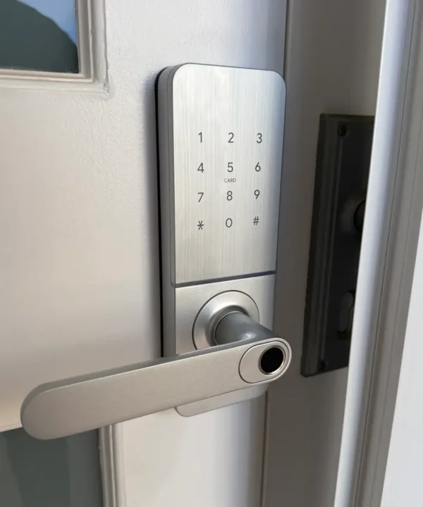 Lionhead Regent Digital Door Lock